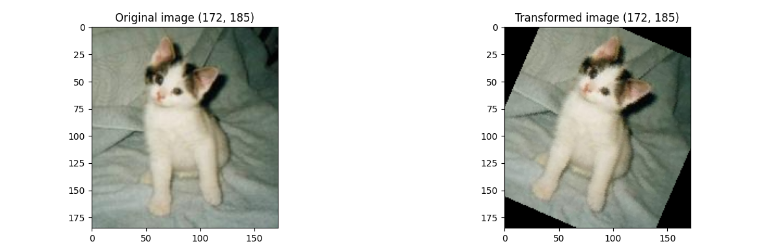 1029.png