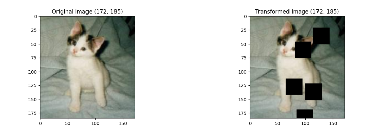 1035.png